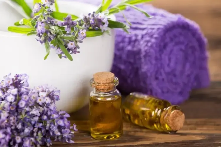 Aromatherapy massage with essential oils at Orange Spa in Al Barsha Dubai